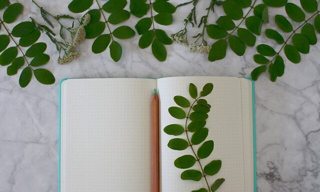 W jakim celu rejestruje się bazę danych?