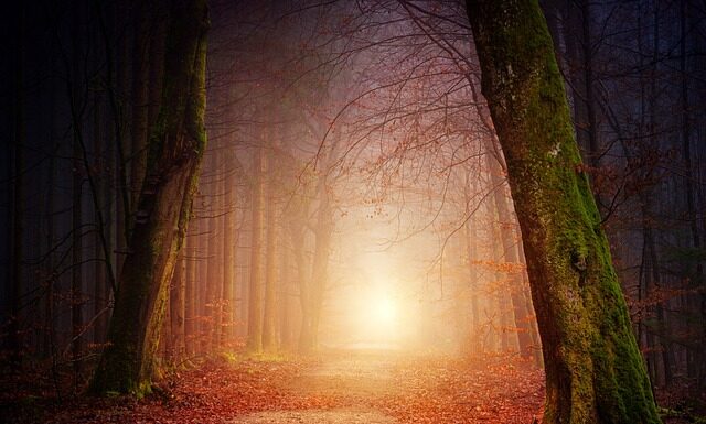 Czy rachunek zysków i strat to to samo co bilans? Czy rachunek zysków i strat to to samo co bilans?