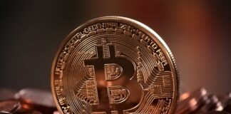 Która Kryptowaluta najlepsza? Która Kryptowaluta najlepsza?