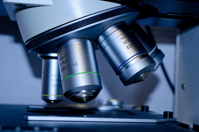 Ile trwają studia z biologii? Ile trwają studia z biologii?