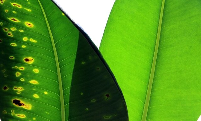 Jak porównać dwie bazy danych w Excelu?