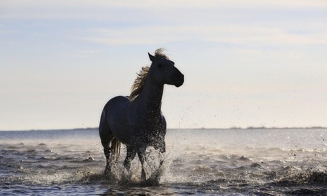 Co to są standardy ISO w zakresie bezpieczeństwa?
