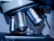 Jakie przedmioty na kierunku biotechnologia? Jakie przedmioty na kierunku biotechnologia?