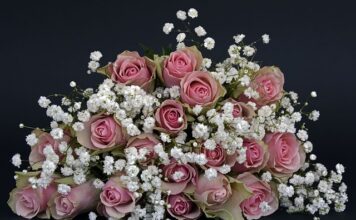 Jak odpowiedzieć na Dziękuję bardzo? Jak odpowiedzieć na Dziękuję bardzo?