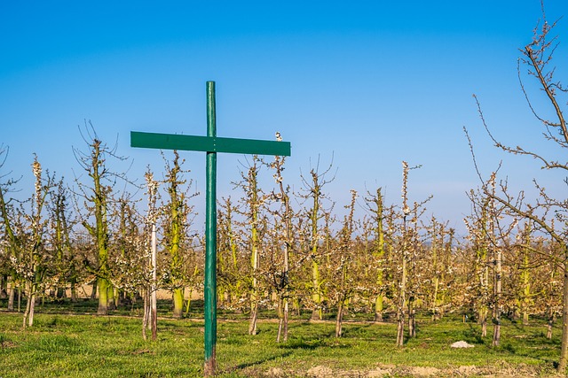 Czy regulamin pracy zdalnej w szkole jest obowiązkowy? Czy regulamin pracy zdalnej w szkole jest obowiązkowy?