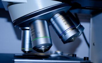 Jakie studia 2 stopnia po biotechnologii? Jakie studia 2 stopnia po biotechnologii?